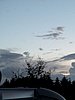 PXL_20260610_204320375.jpg