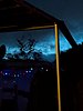 PXL_20260612_212508705.jpg