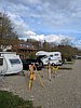 PXL_20260416_152445712.jpg